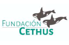 fundacion_cethus