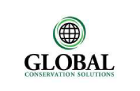 global_conservation_solutions