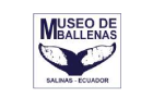 museo_ballenas