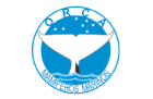 orca_mamiferos_marinos