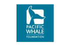 pacific_whale