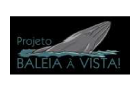 projeto_baleia_a_vista