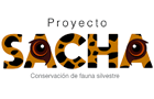 proyecto_sacha